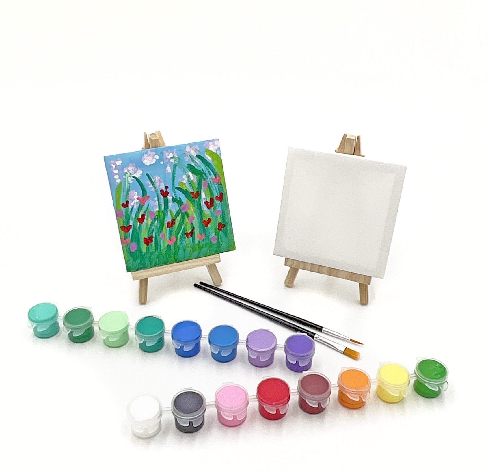 Mini Canvas Art Contest